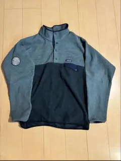 Patagonia ハーフジップ フリース