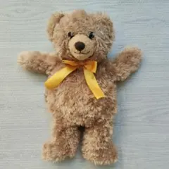 ベビー リュック　熊　テディベア 　Teddy Bear　ぬいぐるみ　一升餅