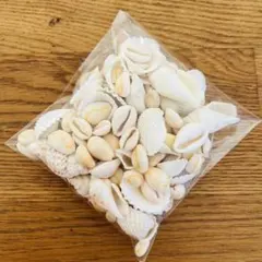 貝殻まとめ売り　シェルハンドメイド資材　貝殻ネックレス