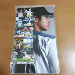 大谷翔平 アクリルミラースタンド(2013-2017)