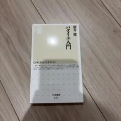 바타이유 입문