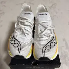 Item thumbnail for item e7fad34d-0f2b-41cd-bfb1-8975818f48f3