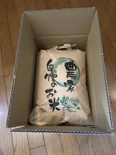 魚沼産コシヒカリ 10kg 令和7年度産 - メルカリ