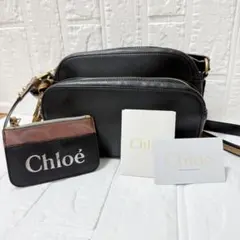 ❣️美品❣️ CELINE セリーヌ マスタングプリント 車 ポーチ クラッチ