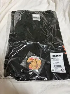 Item thumbnail for item 12a13f9a-bcba-40df-8b78-5b5aa68a6bb3