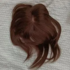 Item thumbnail for item 4e5bc13f-7aec-43e2-b514-2a6e8e895d30