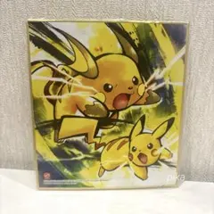 ポケモンZA M次元ラッシュ 購入特典ブロマイド メガライチュウX