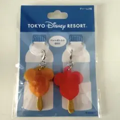 東京ディズニーリゾート チャーム2個セット