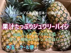 フィリピン産半生パイン700g×3点ドライジューシーパイン800g×3点