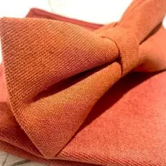 Item thumbnail for item 9c8bc31c-d1ce-4f24-a843-facb8ad28394