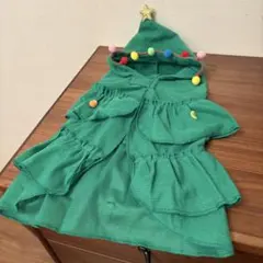 Item thumbnail for item 9e733fb7-388d-4704-bb6a-1ae25ea0bb7e