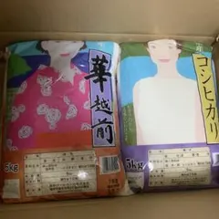 令和7年産 コシヒカリ 華越前　5キロ　5kg 2袋合計10kgのサムネイル