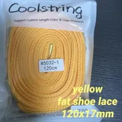 新品未使用送料無料　 fat shoe lace ダークグリーン　緑