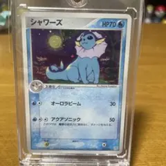 シャワーズ ☆ 強化拡張パックex1 マグマVSアクア ふたつの野望 022