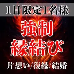 2026年最新】強制縁結びの人気アイテム - メルカリ