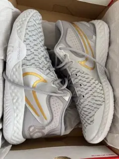 NIKEバスケットボールシューズ グレー/ゴールド