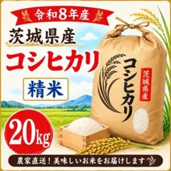 新米【 玄米 】きぬひかり 20kg 令和8年産 京都府産 - メルカリ