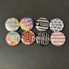 EXILE THE SECOND缶バッチ ライブグッズ