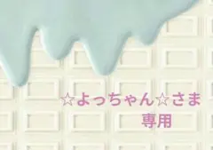 ☆よっちゃん☆さま専用