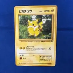 2026年最新】ジャングルピカチュウの人気アイテム - メルカリ