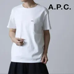 A.P.C. アーペーセー ボーダー Tシャツ ellison エリソン - メルカリ