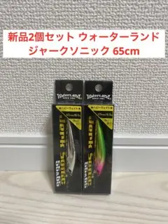 新品2個セット ウォーターランドジャークソニック 65cm 管釣り 村田基のサムネイル