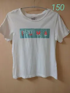 キッズ Tシャツ 150 PUMA 白