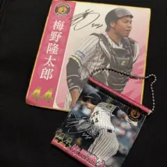 阪神タイガース シークレットミニ色紙 2019 梅野　サイン入り　野球選手