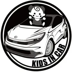 愛車色に変更可 新型 アクア キッズインカー マグネット ドラレコ ⒊