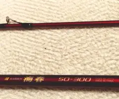 Daiwa KEVLAR CARBO 海峡 30号 390 磯竿 - メルカリ