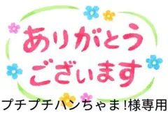 NOMADIS/ノマディス2025新作別注SAC2FRAMeWORKトートバッグ