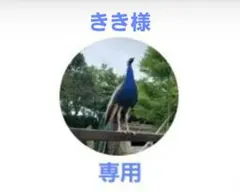 きき様専用　割引券４枚