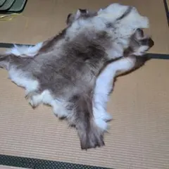 トナカイの毛皮 約130cm x 90cm