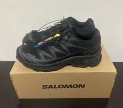 【25.0cm】SALOMON サロモン スニーカー XT-6 ブラック 美品