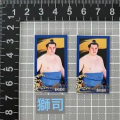 獅司　大相撲ガチャ　ステッカーシール　2枚セット