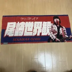 尾崎世界観 ミュージシャン