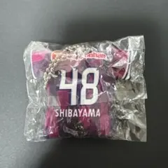 柴山昌也 セレッソ大阪