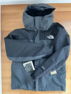 THE NORTH FACE マウンテンライトジャケットLサイズ