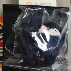 ハイキュー たぴぬい 景山
