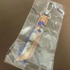 中日ドラゴンズ 選手フォト ミニボンフィン 大島洋平選手 ドラゴンズガチャ