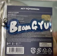 TXT ボムギュ アクリルチャーム