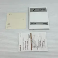 新品 iLuv iPod用リアルタイムダイレクトビデオレコーダー i180WHT