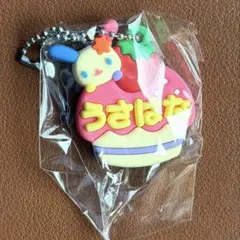 サンリオ メルヘン工房　ミニチュア おなまえホルダー２　ウサハナ