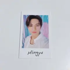 2026年最新】seventeen ミンギュ トレカの人気アイテム - メルカリ