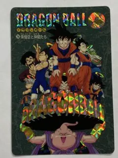 ドラゴンボール カードダス ビジュアルアドベンチャー 95EX ノーマル コンプ ドラゴンボール カードダス ビジュアルアドベンチャー 95EX