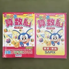 きらめき算数帳 小学2・3年生セットのサムネイル