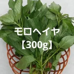 モロヘイヤ【農薬不使用】300g　ネコポス発送のサムネイル