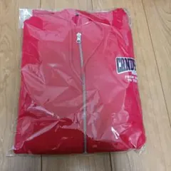 【新品・未開封】CANDY TUNE 立花琴未　パーカー　こっちゃん