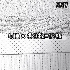 Item thumbnail for item 507c8a70-13a3-40ef-9e0b-7ea2e34308a7