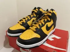 NIKE DUNK HI RETRO